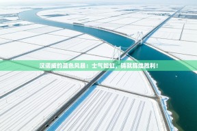 汉诺威的蓝色风暴：士气如虹，铸就辉煌胜利！